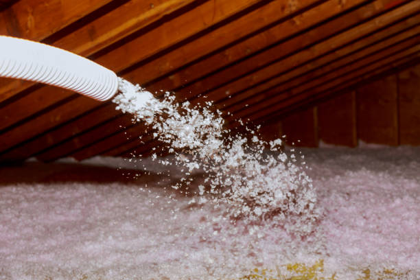 Best Insulation Maintenance and Repair in San Joaquin, CA